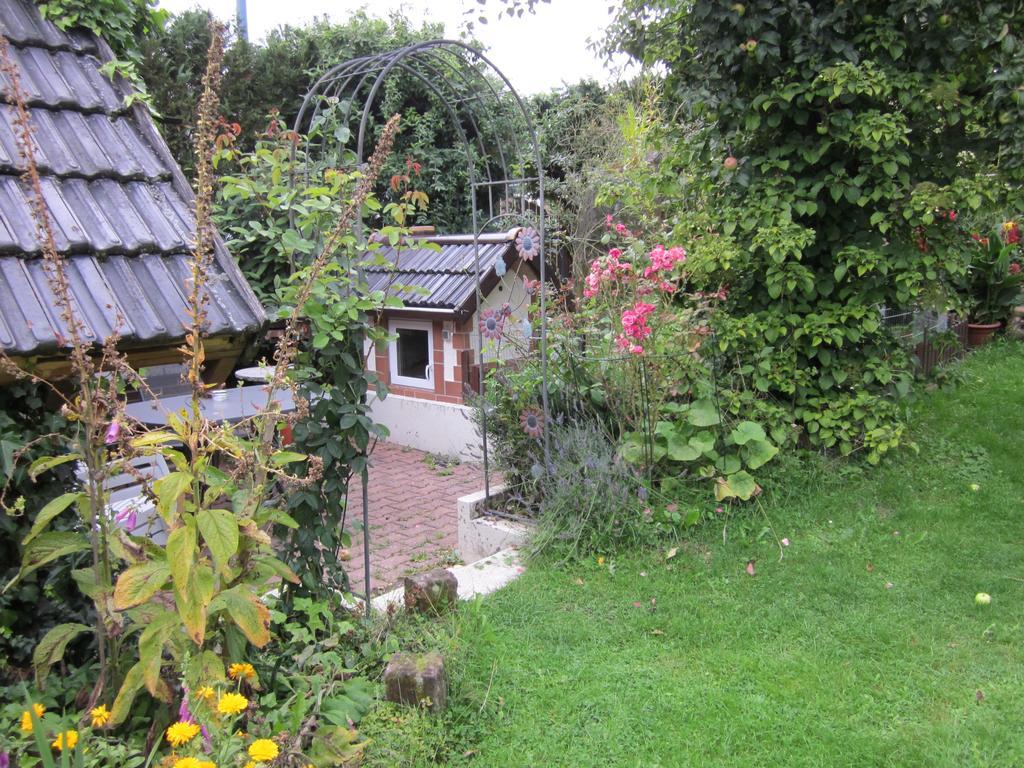 Eifelvulkan Neichen Luaran gambar